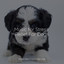Music for Stress Relief For Dogs cover