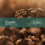 Gabriel D'or & Bordoy — G13 cover art