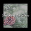 Pneuma of the Pines cover