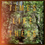 Times Like These cover