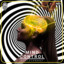 Mind Control - Extended Mix