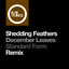 December Leaves - Standard Form Extended Remix