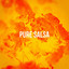 Pure Salsa cover
