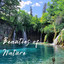 Beauties of Nature cover