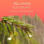 zZz Relaxing Cloudburst: Rainstorms Near the Mountains zZz cover