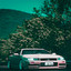 MARBELLA cover