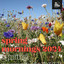 spring mornings 2024 by The Circle Sessions cover