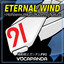 ETERNAL WIND ～Hohoemi Hikaru Kaze no Naka～ (From "Mobile Suit Gundam F91") cover