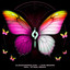 Love Begins - Extended Mix