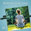 Meditation in the Jungle Vol. 2 cover