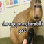 capybara cover art