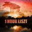 1 Hour Liszt cover