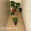 tired, tired, tried cover