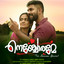 Uyirin Nidhiye cover