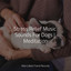 Stress Relief Music Sounds For Dogs | Meditation cover