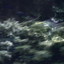 Texture [00​​​.​​​4] - 00​​​.​​​4