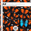 Unknown Title cover