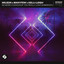 No More Chances (If You Really Love Somebody) - Extended Mix