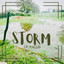 Storm cover
