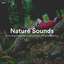 #01 Nature Sounds for Providing a Sense of Peace, Midnight Drives and Late-Night Reading cover