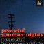 peaceful summer nights by The Circle Sessions cover