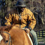 From The Horse's Mouth cover