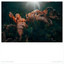 Lightness cover