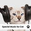 Special Music for Cat cover