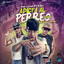 Celso profile