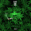 Funky OG cover