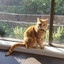 Jett Johnson profile