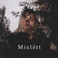 Mielőtt cover