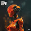 LIFE - Extended Mix