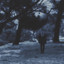 Mark Gottlieb - Under Midnight Skies feat Blue Velvet Ensemble