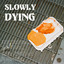 Slowly Dying cover