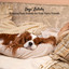 Dogs' Lullaby: Relaxing Rain Sounds for Your Furry Friends cover