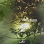 Morning Fog - Extended Mix
