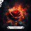 Playing with Fire cover
