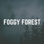 Foggy Forest cover