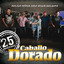 Siempre te amaré - 25 Aniversario cover