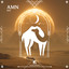 Amn artwork