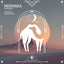 Hedonia artwork