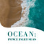 Ocean: Ponce Inlet Seas cover