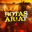 ADBREAK - Ariat Texas