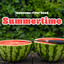 Lonesome River Band - Summertime
