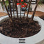 Hot Commodity cover