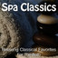 Concerto for Piano and Orchestra No. 23 in A Major KV 488: Adagio