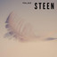 Paljaz - Steen