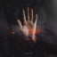 Reckless cover