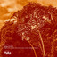 Jungle on Fire - Replicanth Remix